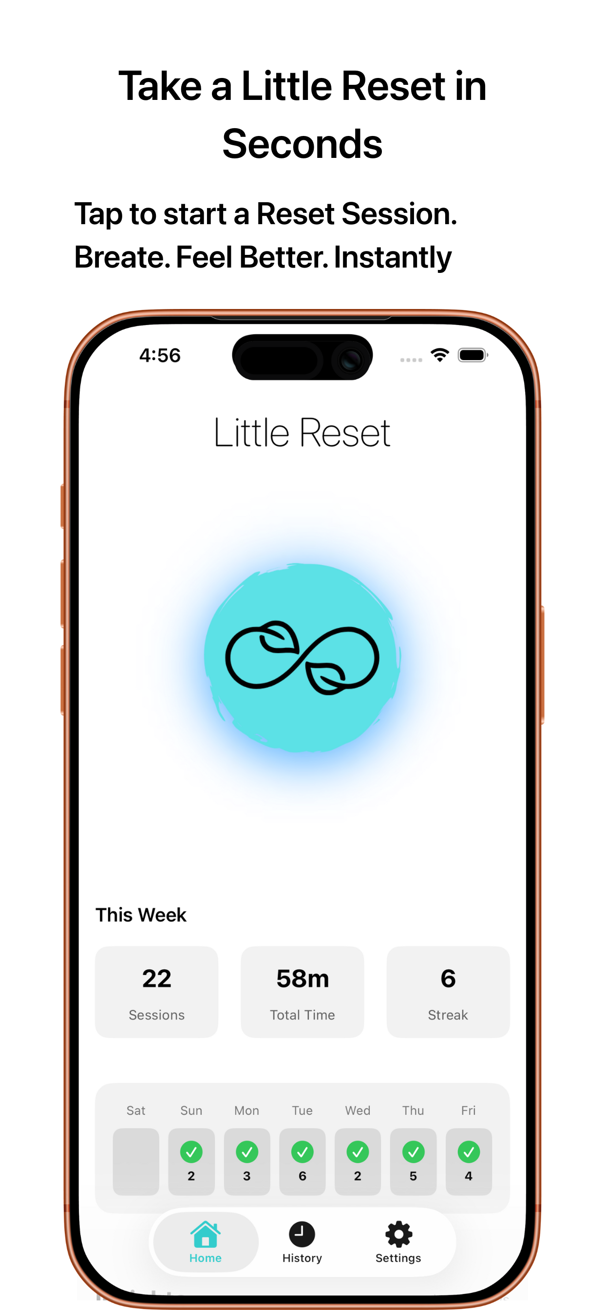 Little Reset